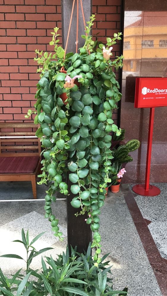 undefined Lai Ming Hotel 5