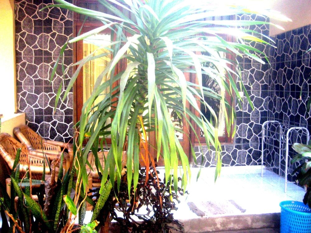 undefined Gerald Homestay 8