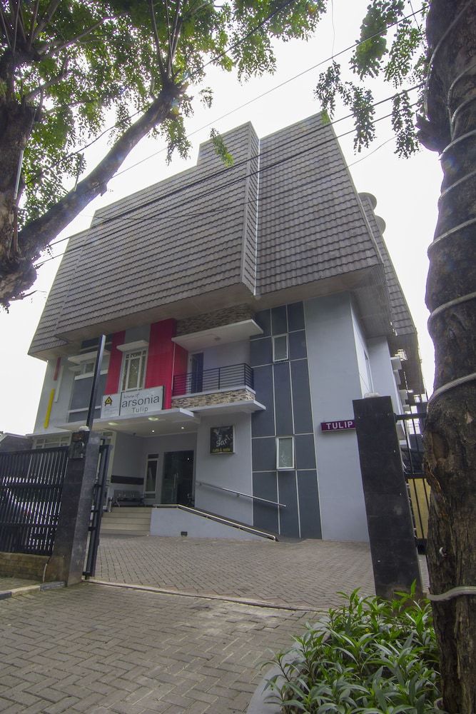 undefined House of Arsonia Tulip 3