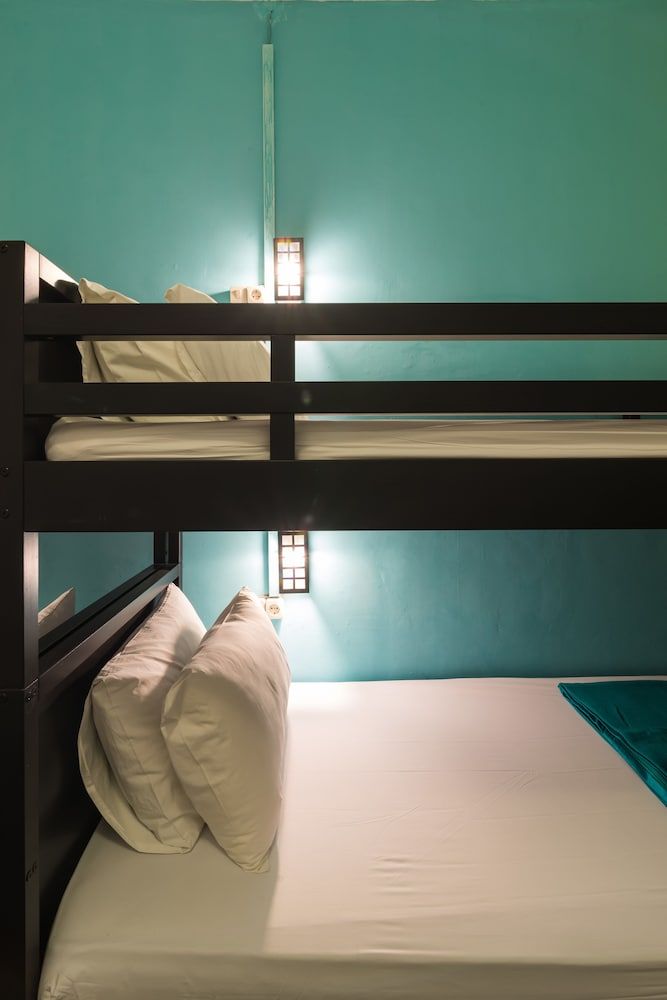Comfort Shared Dormitory, Multiple Beds
