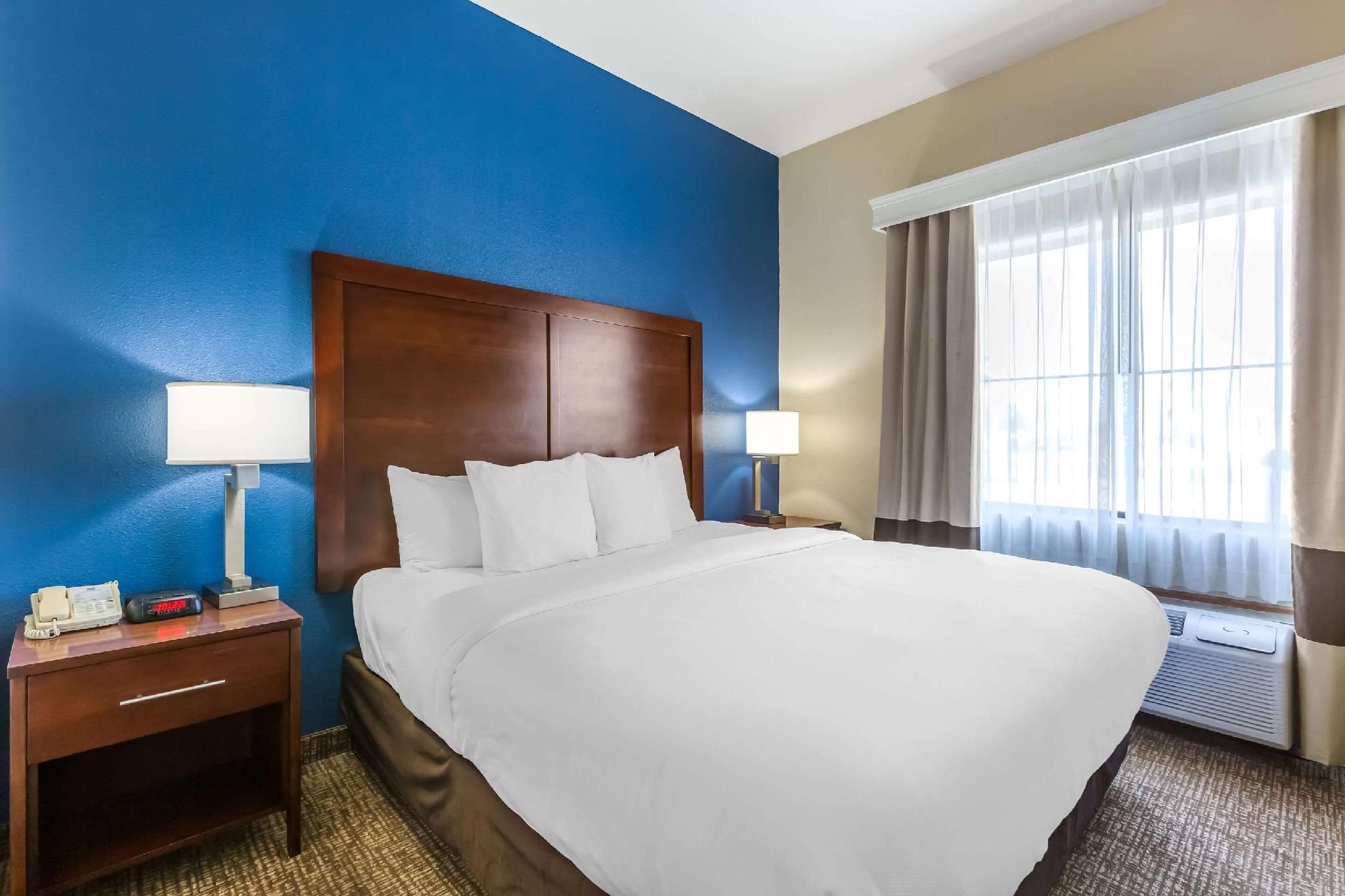 1 King Bed, Suite, Nonsmoking