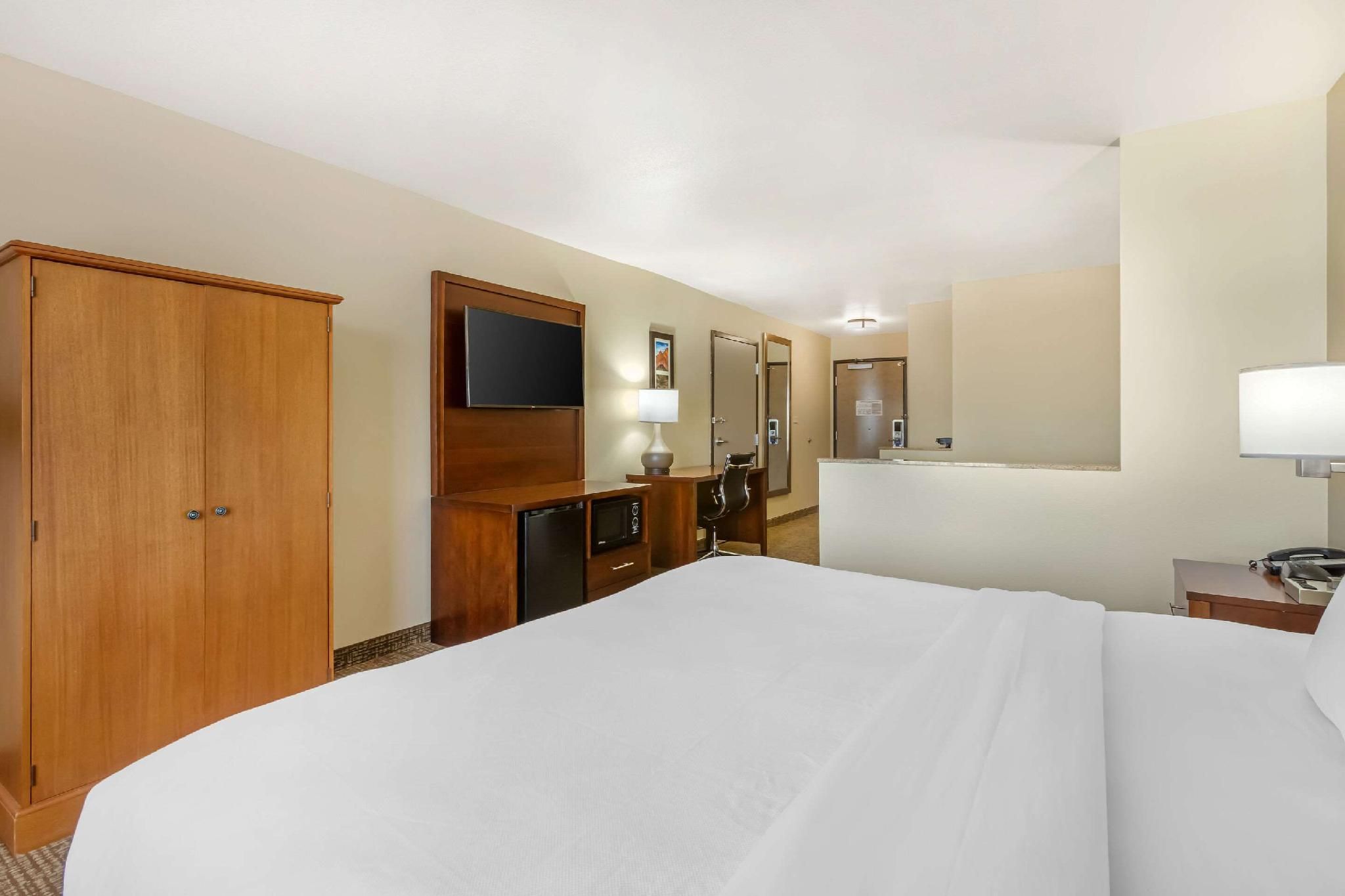 1 King Bed, Suite, Nonsmoking, Accessible