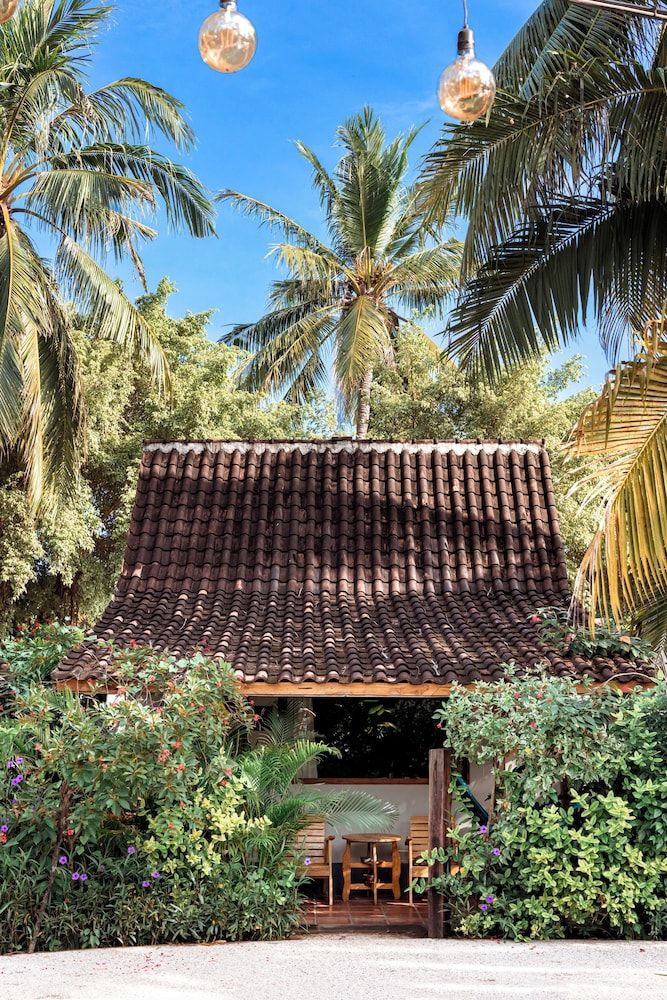 undefined Coconut Garden Resort 6