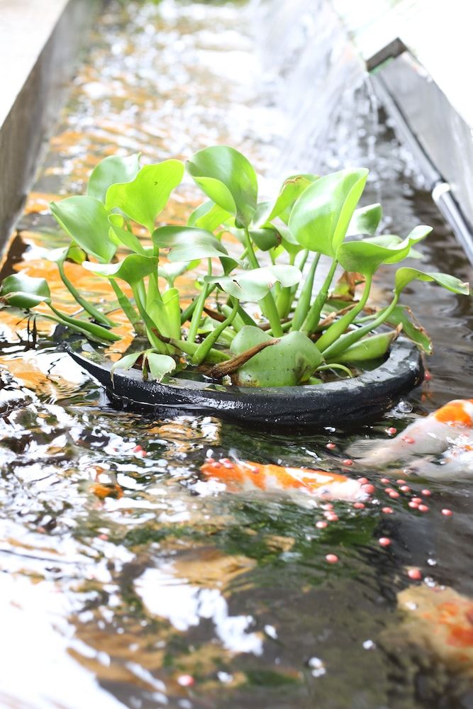 undefined F Hotel Jakarta 3