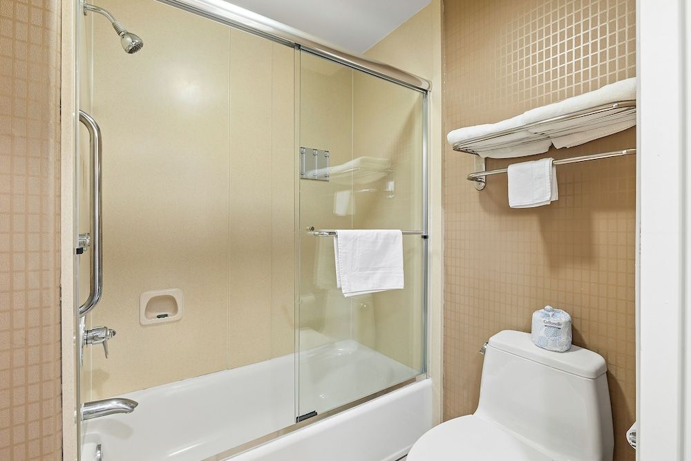 Alexis Park Hotel Standard Double Room, 2 Double Beds 7