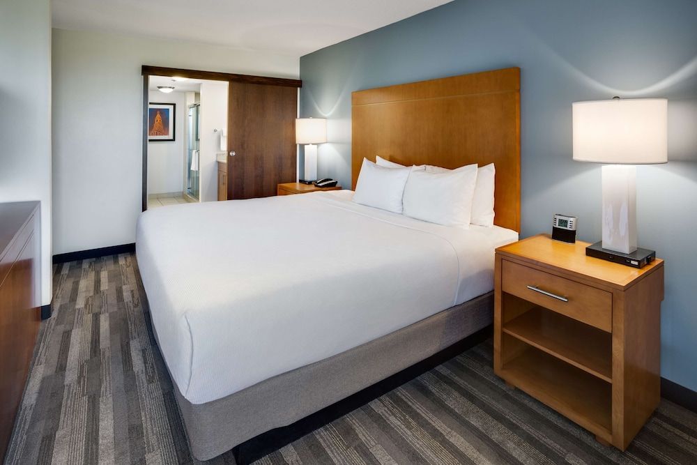 Standard Studio, 1 King Bed with Sofa bed