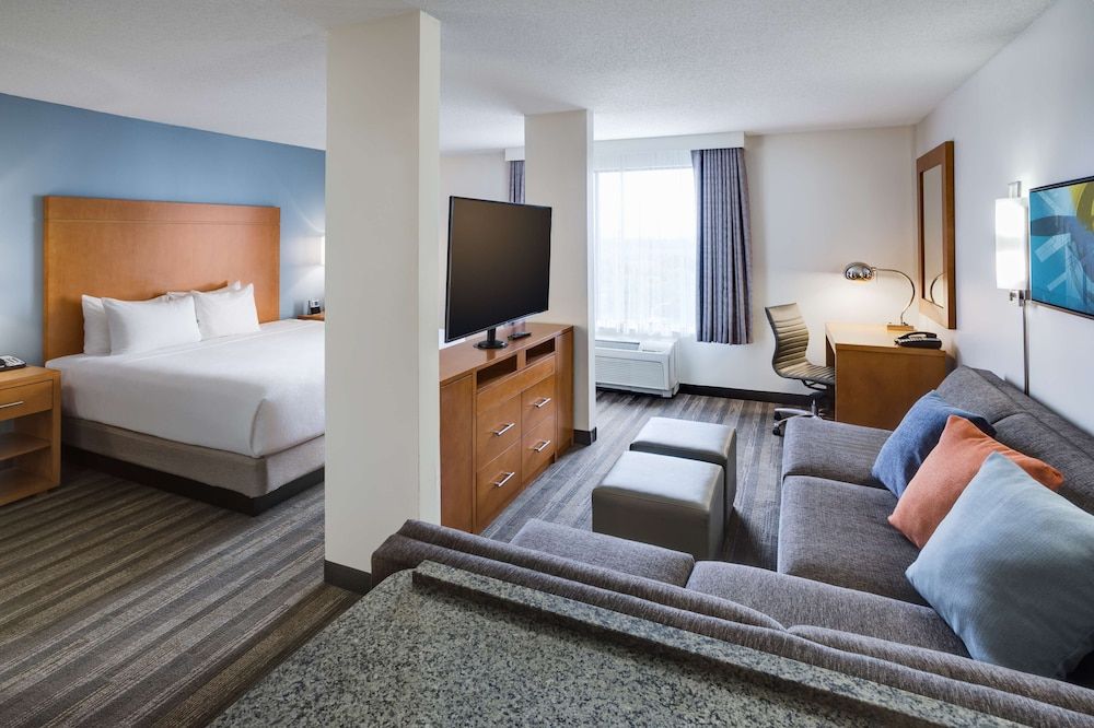 Standard Studio, 1 King Bed with Sofa bed