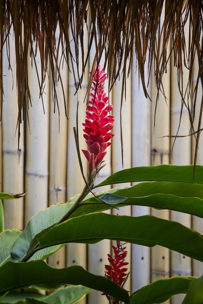 undefined Villas Edenia 6