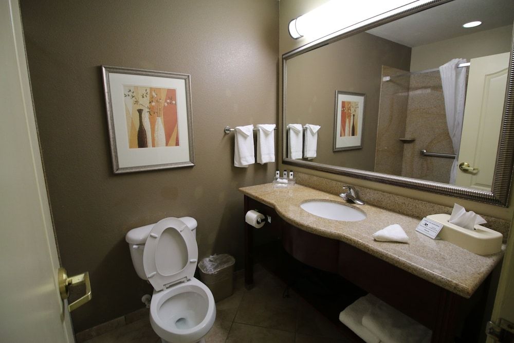 Seffner Inn and Suites Standard Room, 1 King Bed, Non Smoking 4