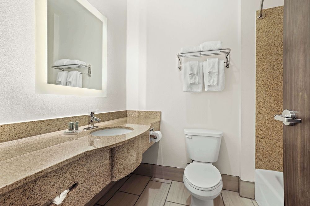 Suite, 1 King Bed, Non Smoking, Refrigerator & Microwave (with Sofabed)