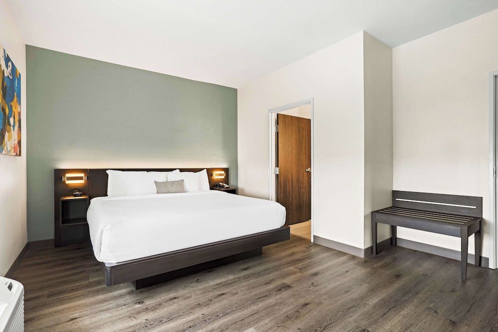 Suite, 1 King Bed, Non Smoking, Refrigerator & Microwave (with Sofabed)