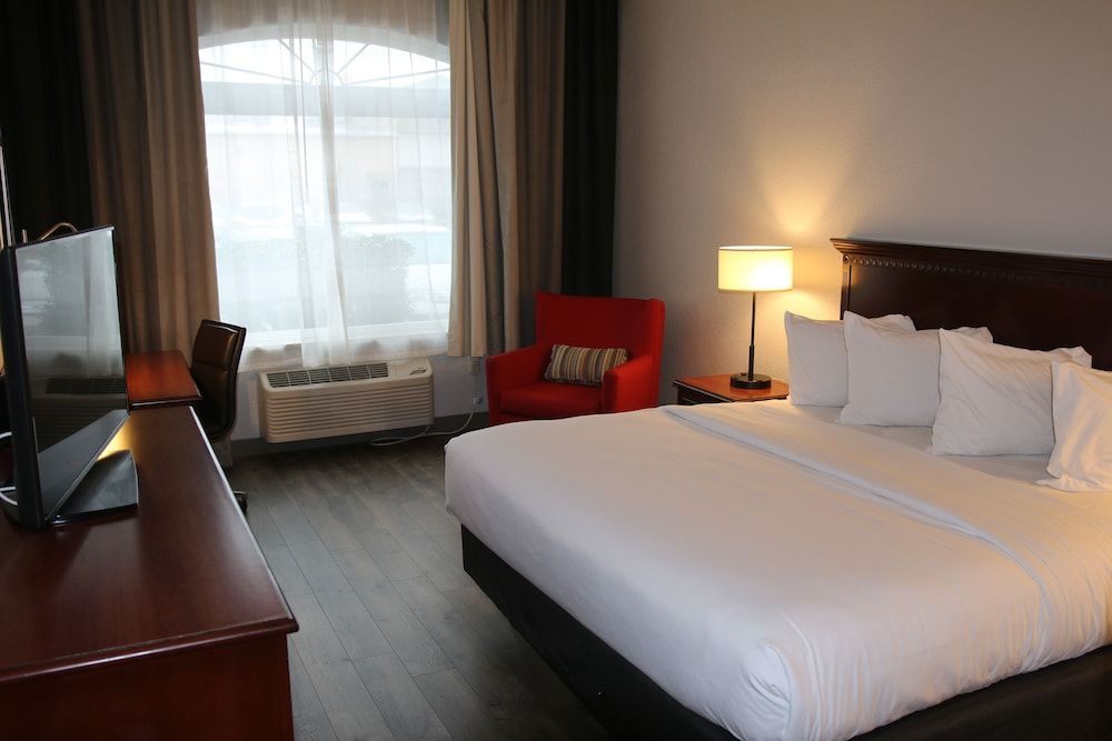 Room, 1 King Bed, Non Smoking
