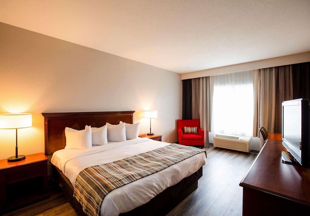 Room, 1 King Bed, Non Smoking