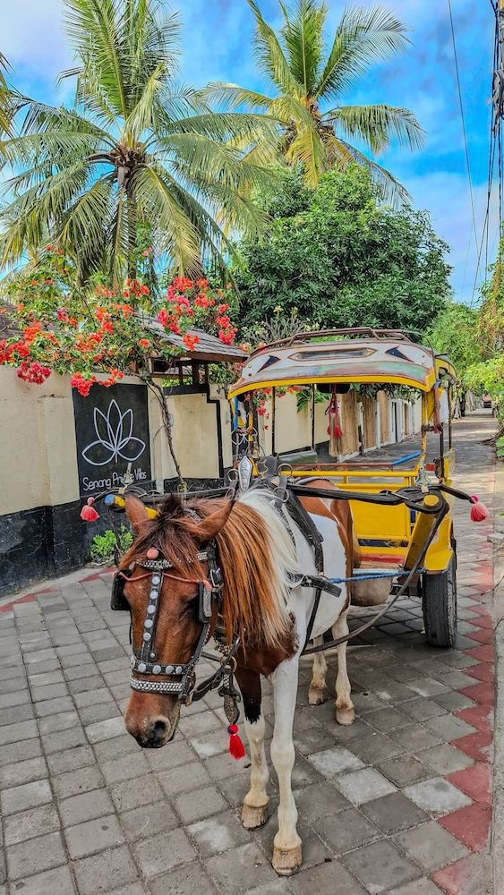 undefined Gili Luxury Villa 5