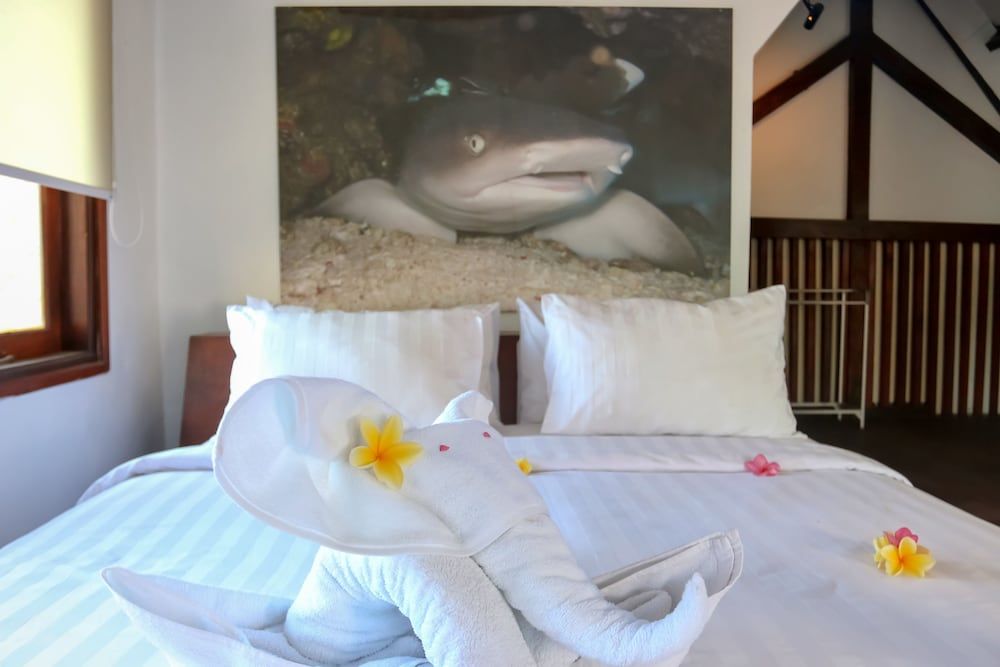 Standard Double Room, 1 King Bed