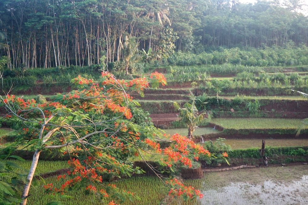 The Gecho Inn Country Family Suite, 2 Bedrooms, Private Bathroom 3