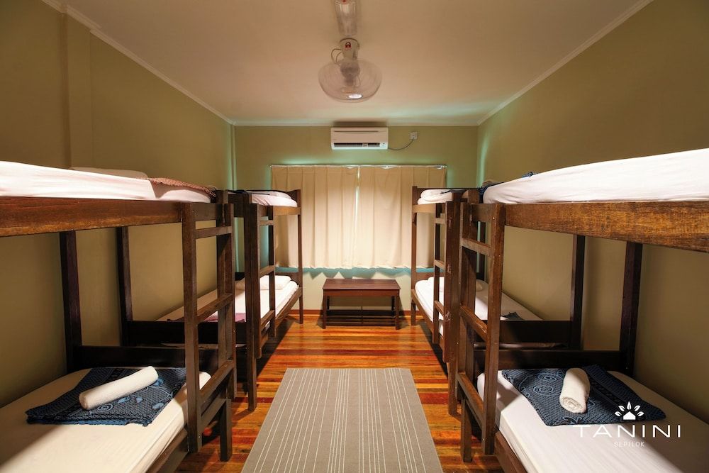 Bunk Bed in Female Dormitory Room