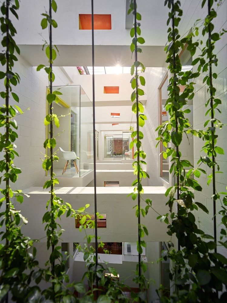 undefined Lantern Hotel 4