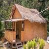 Rain Forest Inn