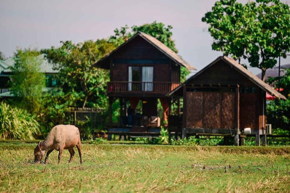 undefined The Gemalai Village 5