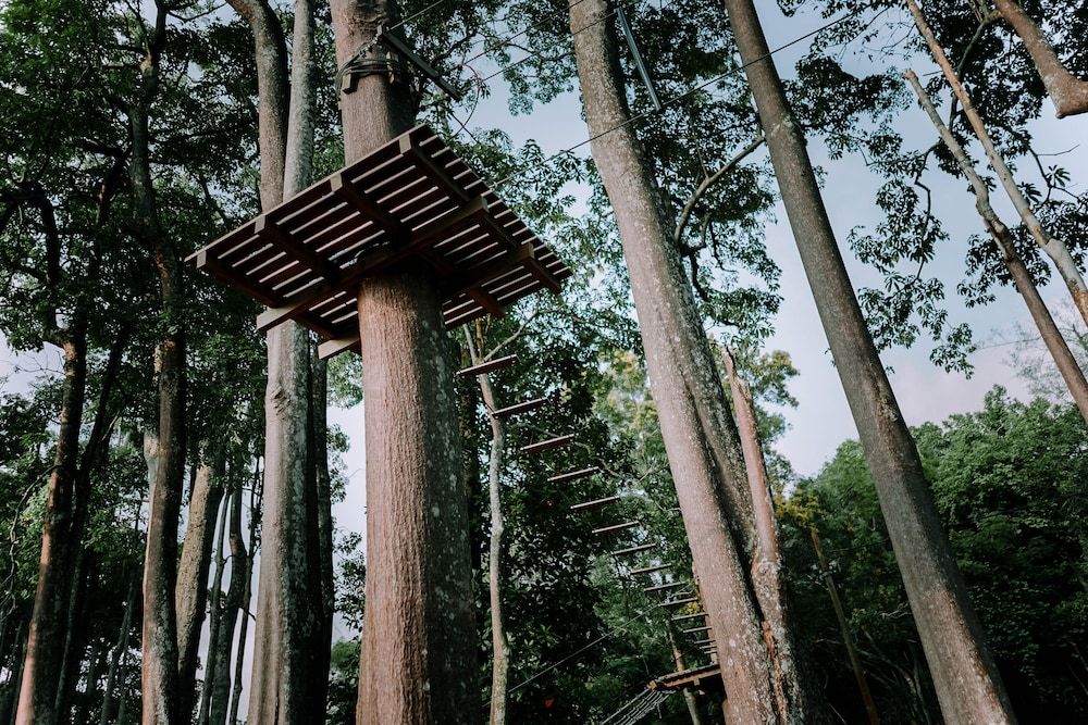 Ropes course (team building)