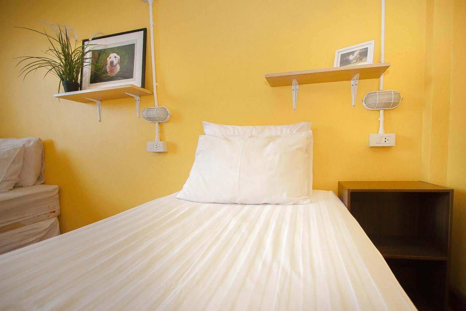 Bunk Bed in Mixed Dormitory Room