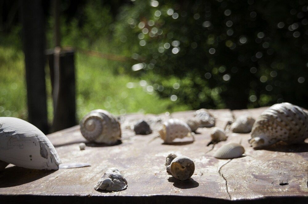 undefined The Lazy Bar And Guesthouse 9