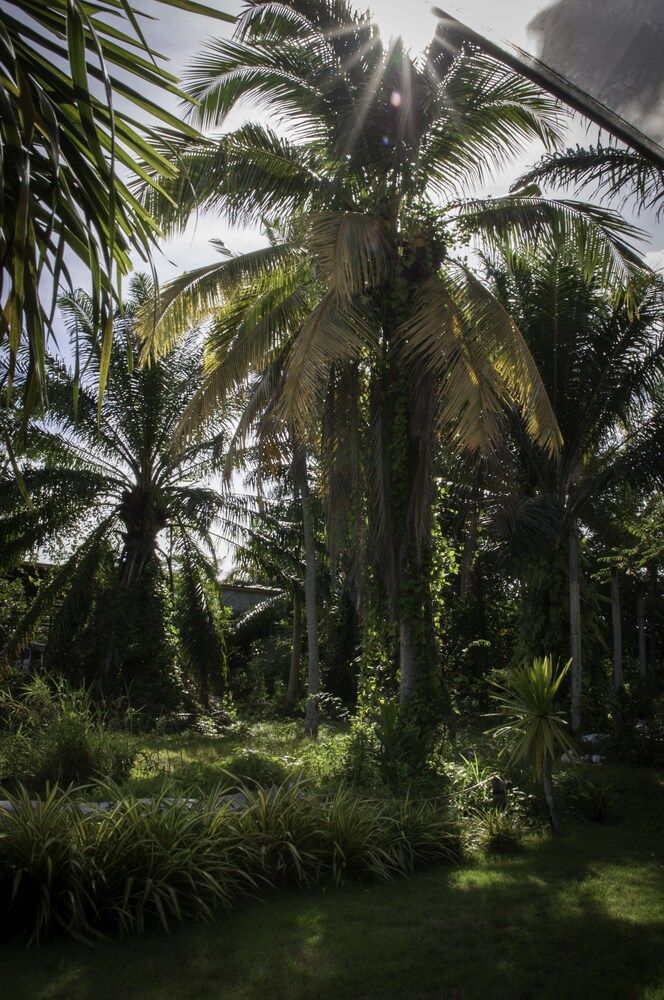 undefined The Lazy Bar And Guesthouse 8