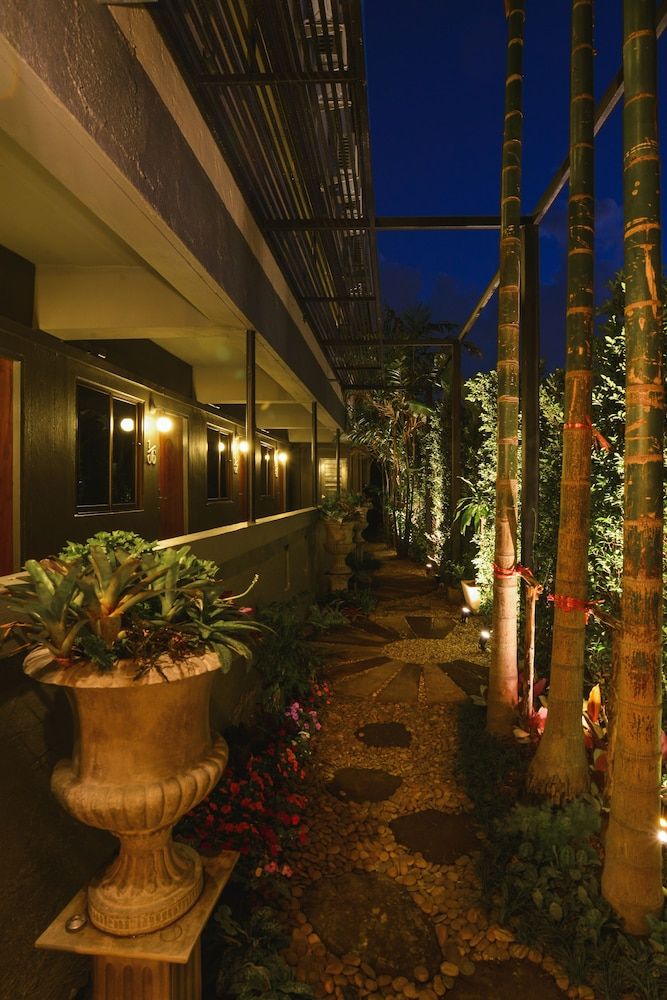 undefined Cozy Inn Chiang Mai 8