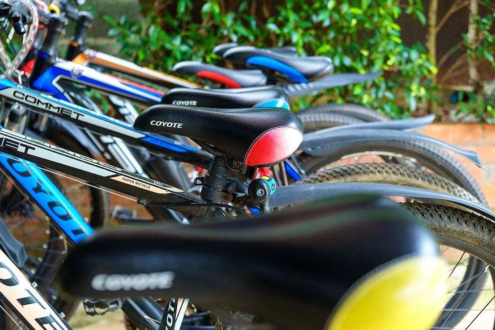 Bicycling