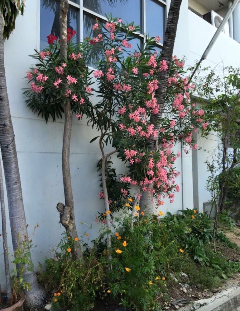 undefined Ittipol Apartment 2