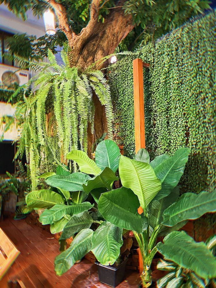 undefined Lanna Tree Boutique Hotel 6