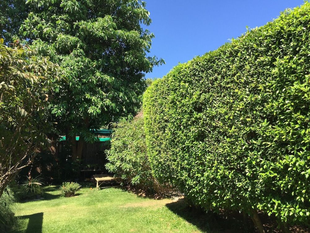 Pranberry Bed and Breakfast Standard Twin Bedroom 5