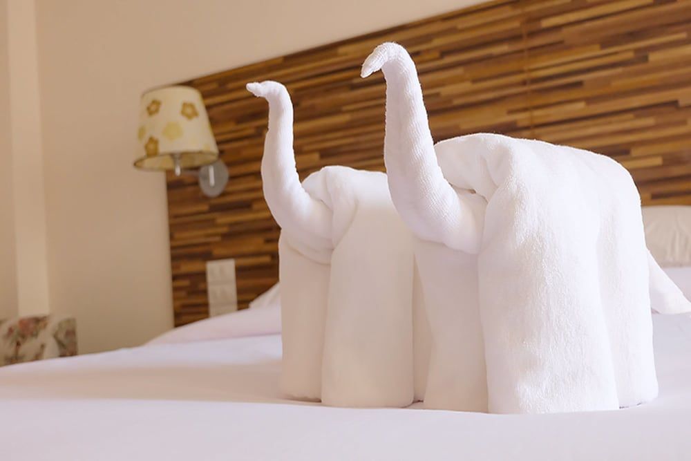 D Hotel Pattaya Standard Room 8