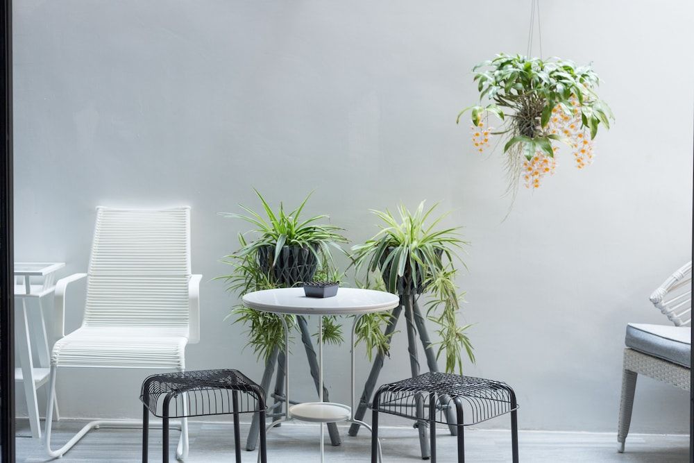 undefined White Ivory Bed & Breakfast 8