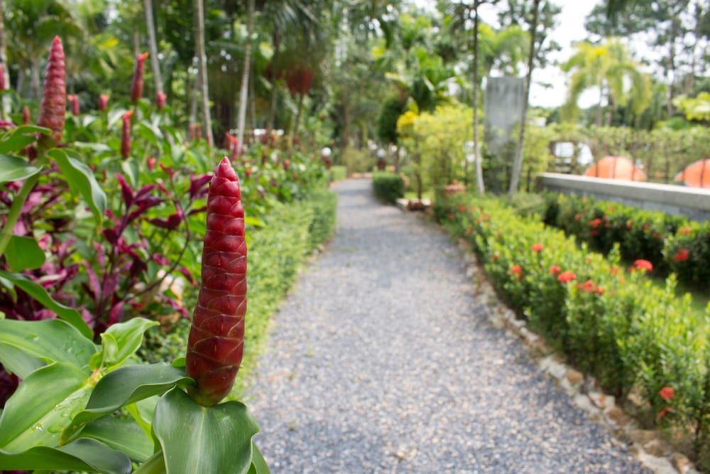 undefined Aonang Bunk Resort 4