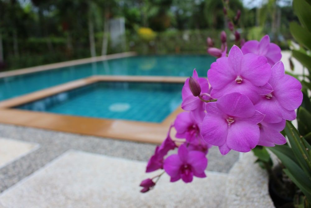 undefined Aonang Bunk Resort 7