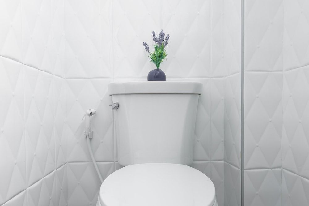 Nord Studio Standard Studio 3