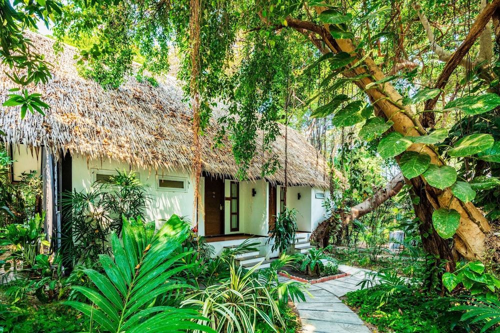 Land view from property