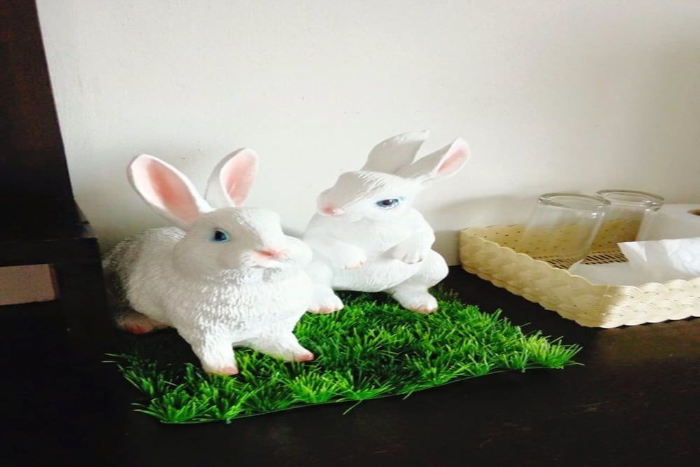 Cozy Rabbit Hotel Standard Queen Room 9