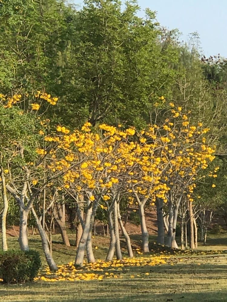 Land View from Property