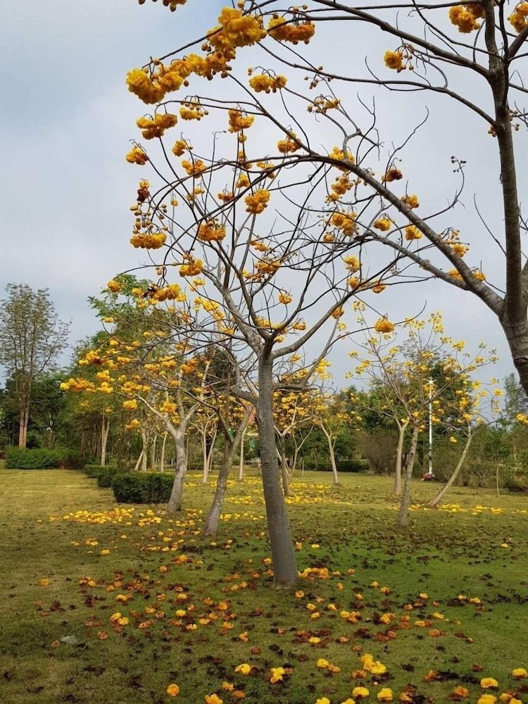 Land View from Property