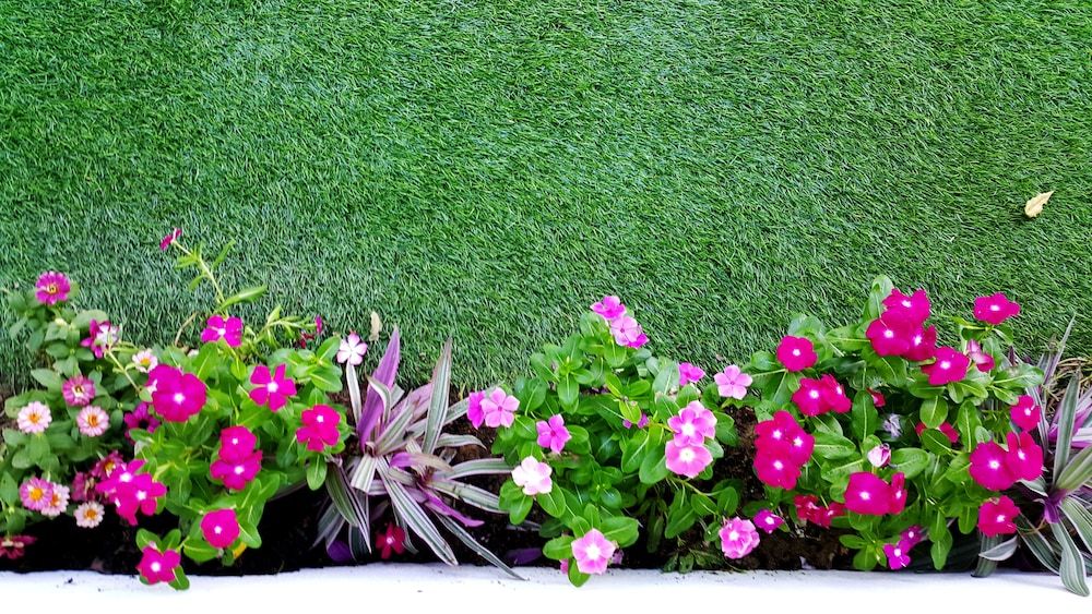 undefined Barefeet Naturist Resort 5