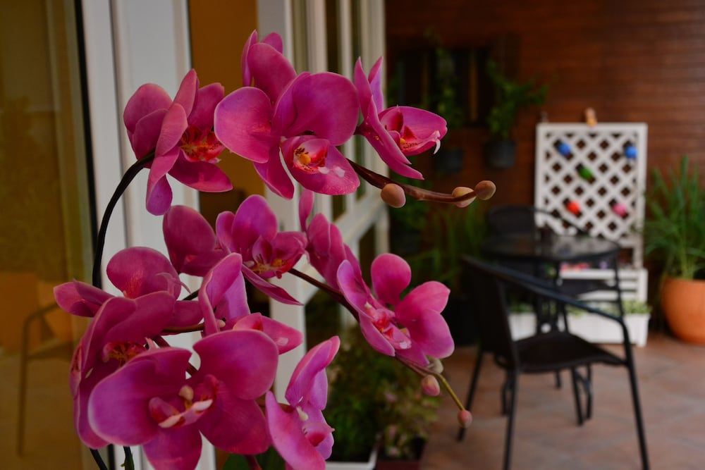 undefined Seedling House 7