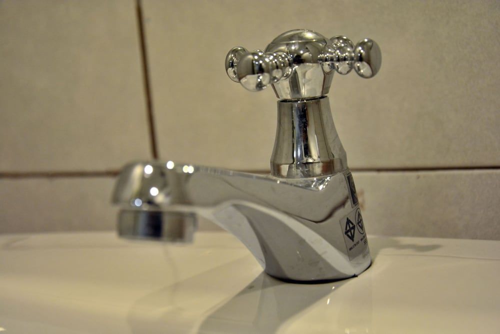 undefined Seedling House 10