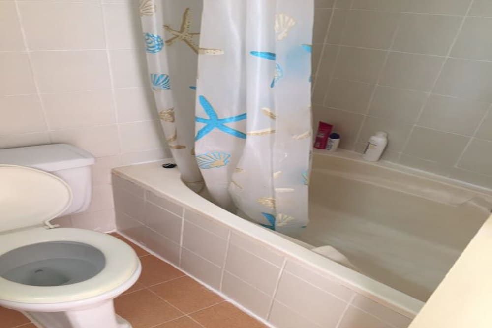 Milford Paradise - No.200 Basic Studio 12