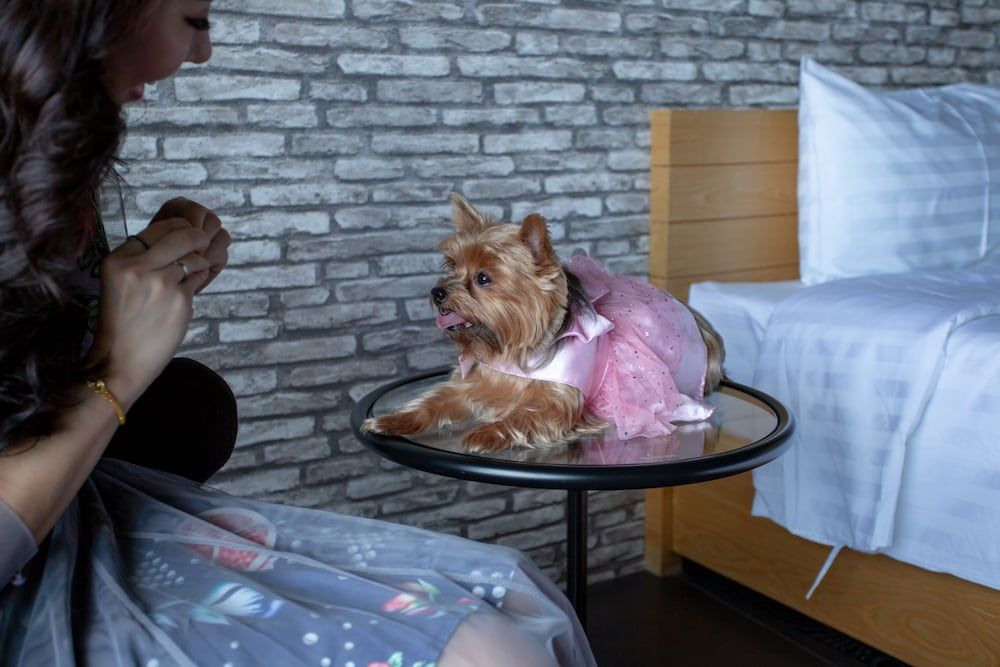 undefined Get Zleep Premium Budget Hotel 5