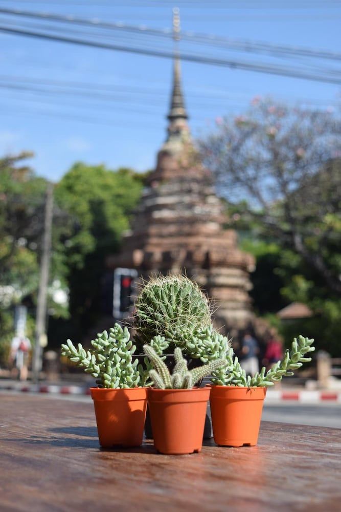 undefined See You Soon Chiangmai 4