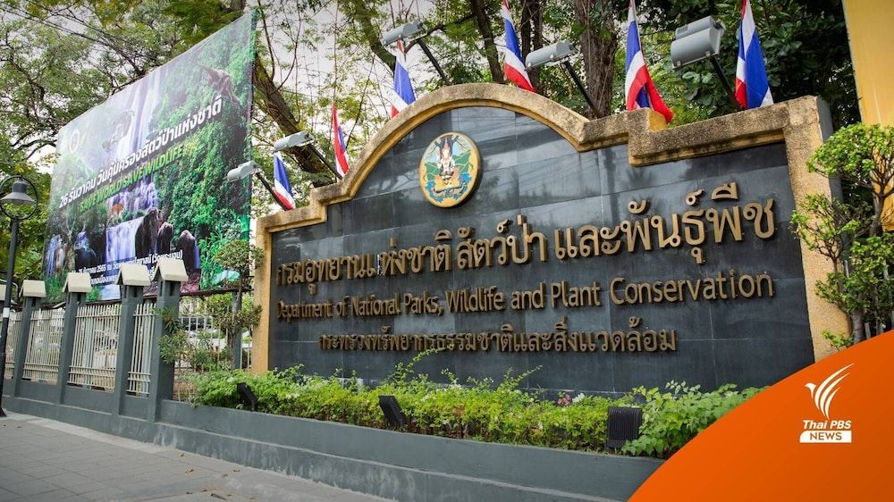 undefined Sky Dome Resotel 5