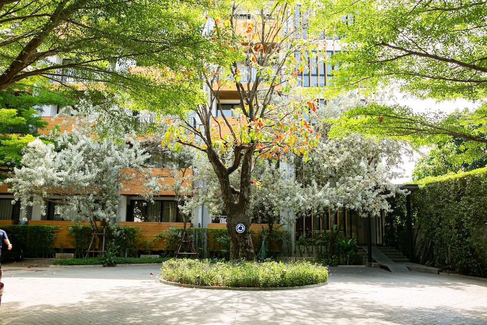 undefined The Silver Palm Wellness Resort 2